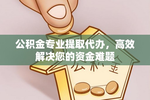 石嘴山公积金专业提取代办，高效解决您的资金难题
