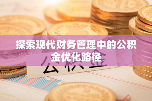 石嘴山探索现代财务管理中的公积金优化路径