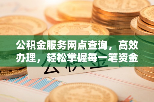 石嘴山公积金服务网点查询，高效办理，轻松掌握每一笔资金动态