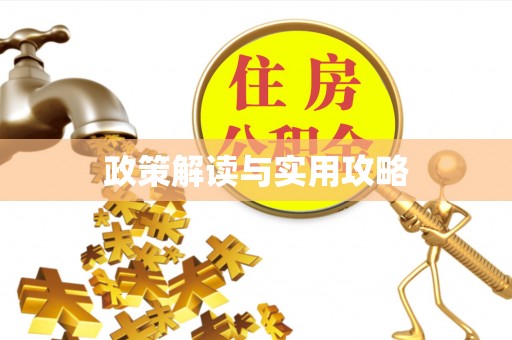 石嘴山政策解读与实用攻略
