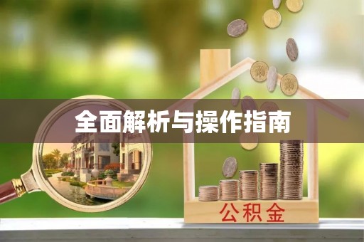 石嘴山全面解析与操作指南